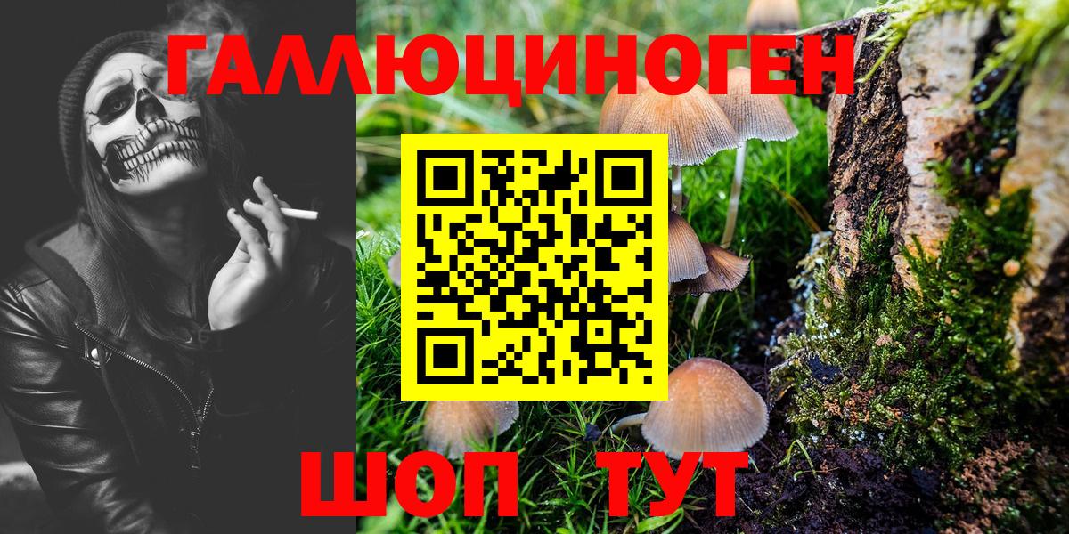 Псилоцибиновые грибы мухоморы Екатеринбург