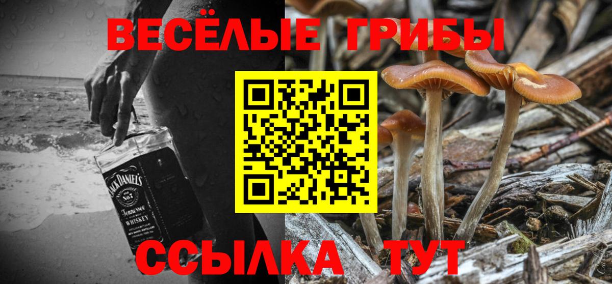 Галлюциногенные грибы MAGIC MUSHROOMS  Галлюциногенные грибы Magic Shrooms  Екатеринбург  Вход с VPN 